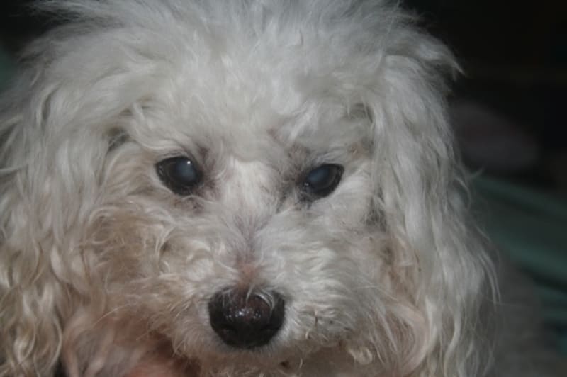 " THE EYES ARE THE WINDOWS TO THE SOUL"......