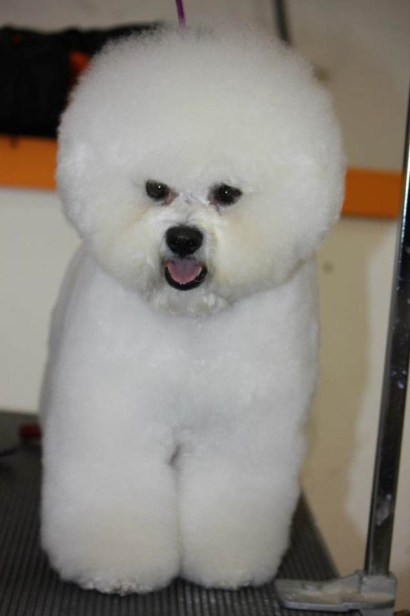 TONY IS  SMILING ABOUT HIS RECENT ACCOMPLISHMENT.....