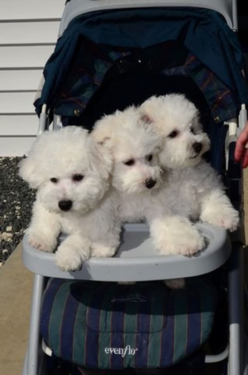 THE ROLEX BOYS WOULD LIKE TO INTRODUCE THE " MOVADO BOYS"