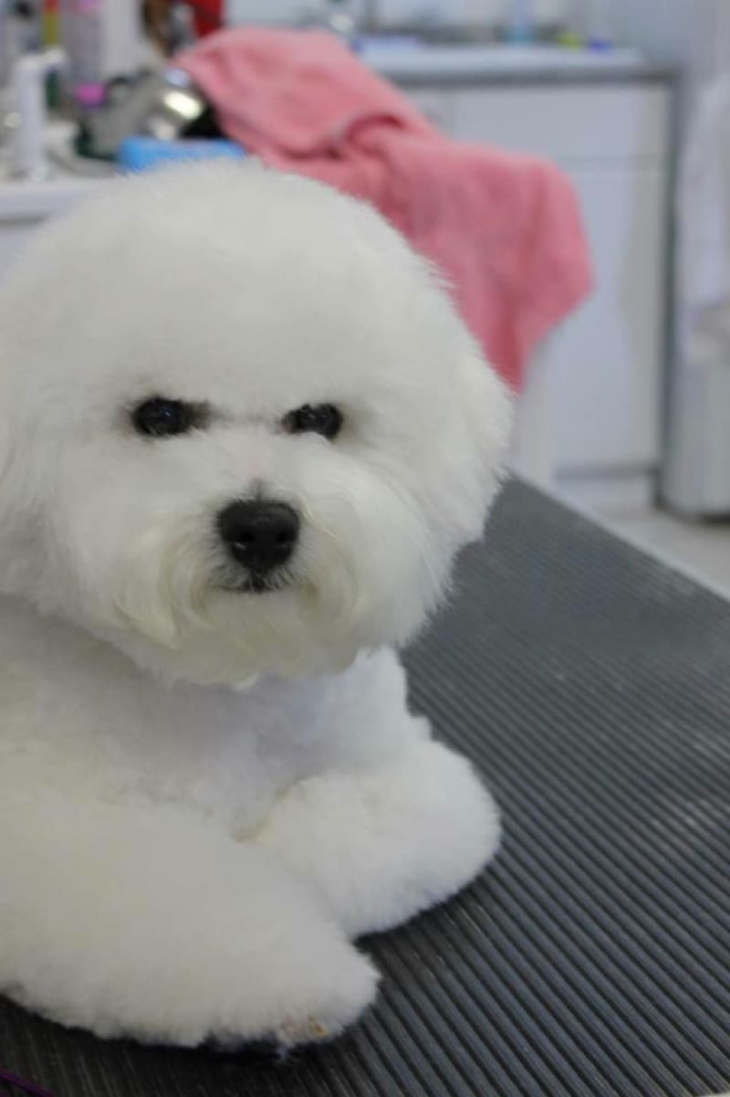 LUVIT DALNAVERT A MOVADO SPORTIVO  "ROBBIE"