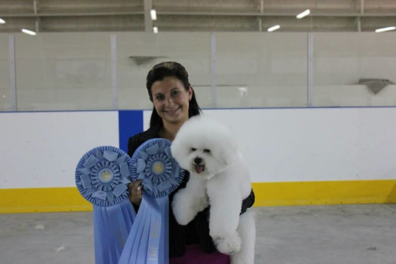 NEW CHAMPION....MBPIS CH. LUVIT DALNAVERT A MOVADO SPORTIVO