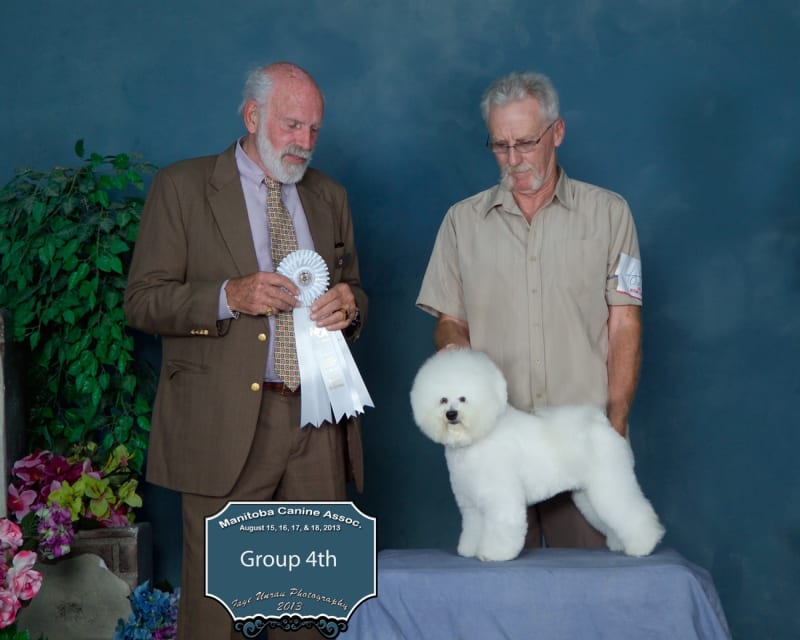 LUVIT DALNAVERT LEAVING ON A JET PLANE