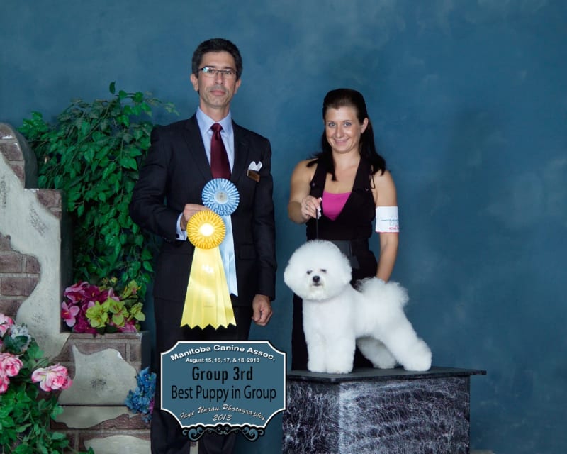 MBPIS CH. LUVIT DALNAVERT A MOVADO SPORTIVO