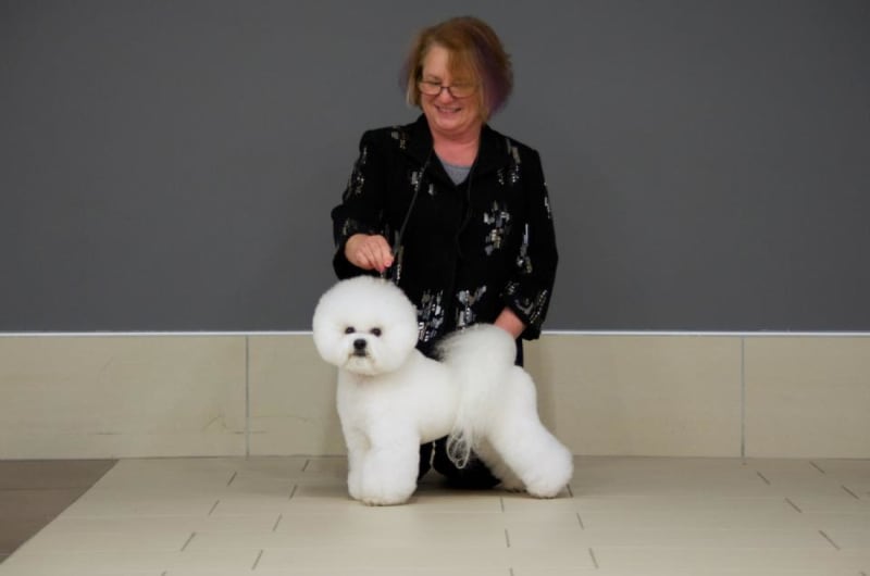 TONY AND SANDY ARE OFF TO BARCELONA, SPAIN !