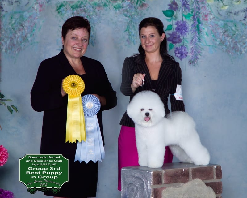 MBPIS CH. LUVIT DALNAVERT A MOVADO SPORTIVO