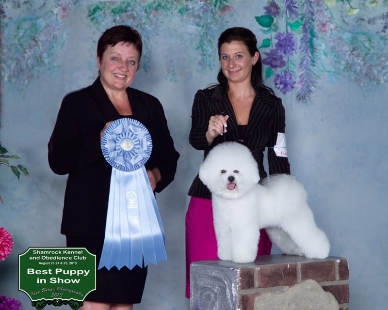 HAPPY 1ST BIRTHDAY TO  " ROBBIE"....