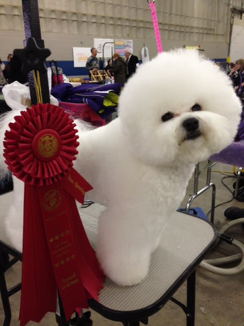 ROBBIE'S WINS CONTINUE....