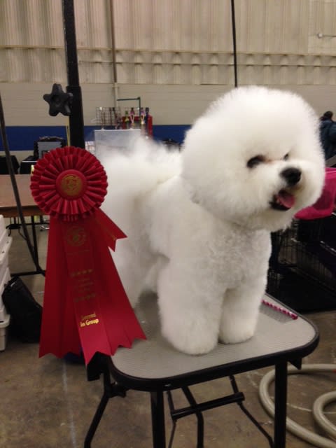 GREAT START FOR 2014....