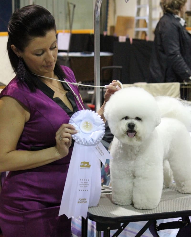 FIRST TIME IN A SHOW AND LOOK WHAT HAPPENED !