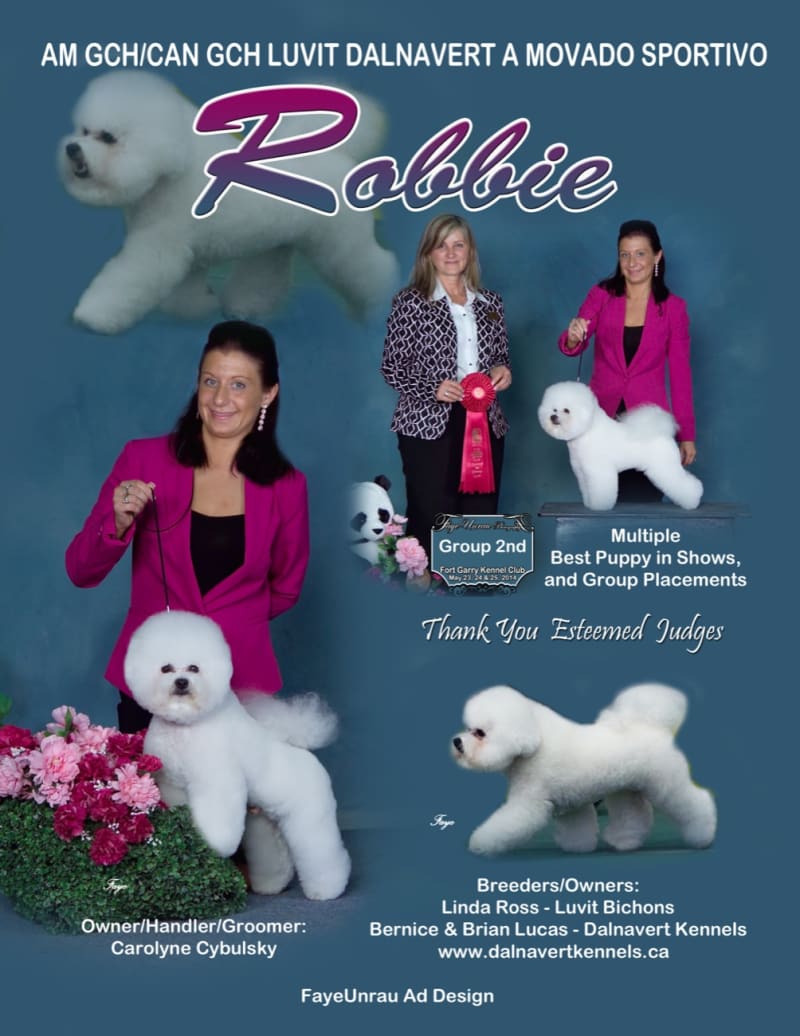 ROBBIES IS # 2 BICHON FRISE IN CANADA...