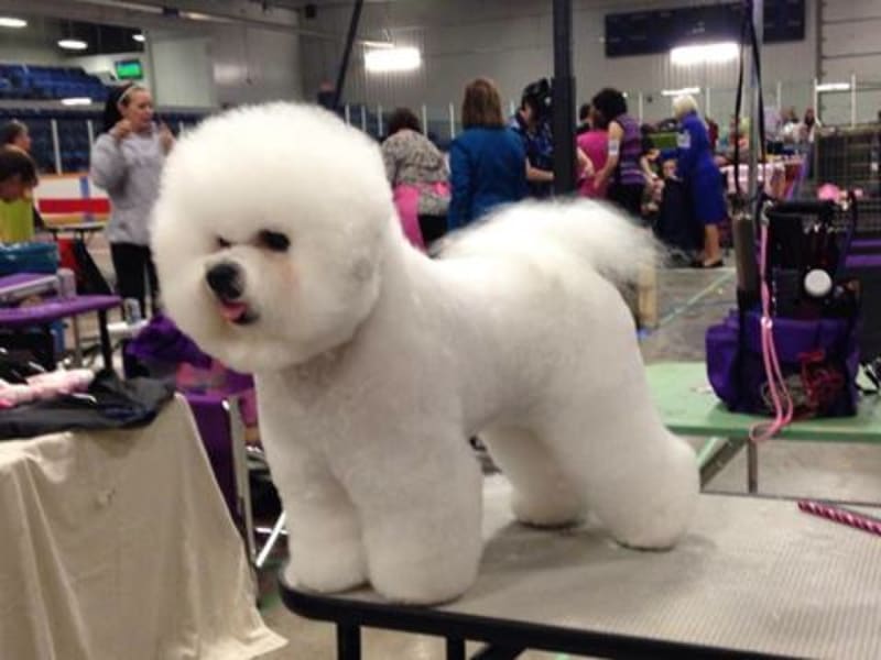 DAY 3 IN BALGONIE,SK FINISHES WITH ANOTHER GROUP 3RD