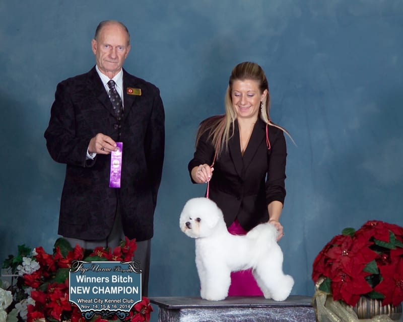 NEW CHAMPION DALNAVERT LUVITS HRH MERIDA