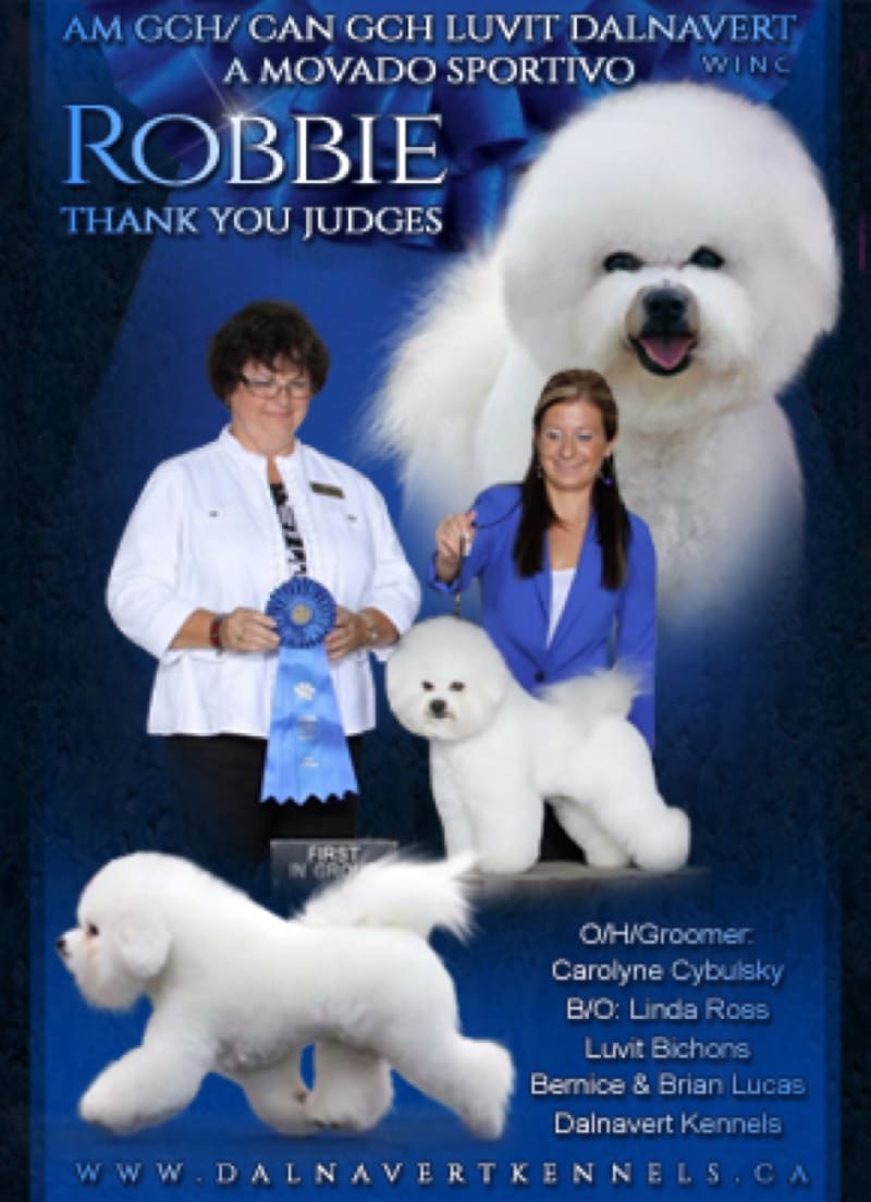 ON THE BLUE RIBBON CAMPAIGN..................