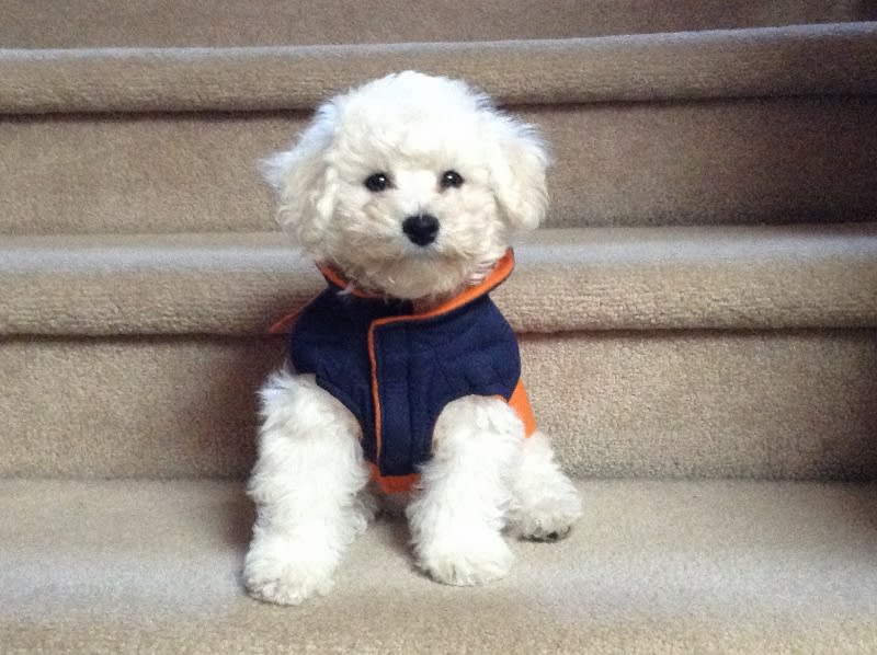 HI... I'M RONNIE...........