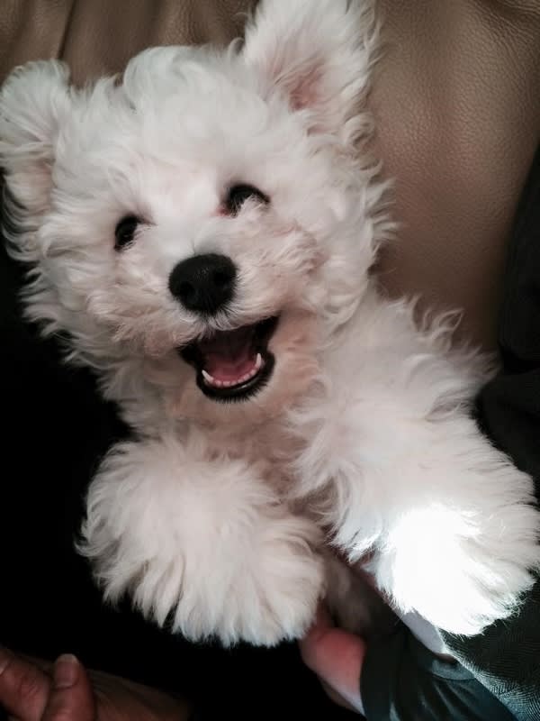 RONNIE LOVES HIS NEW HOME....