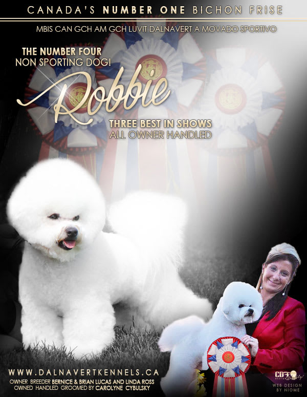 AMGRCH / CAN GRCH. LUVIT DALNAVERT A MOVADO SPORTIVO