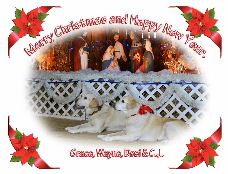 CHRISTMAS WISHES FROM YELLOW LABRADOR KENNEL REDSKY