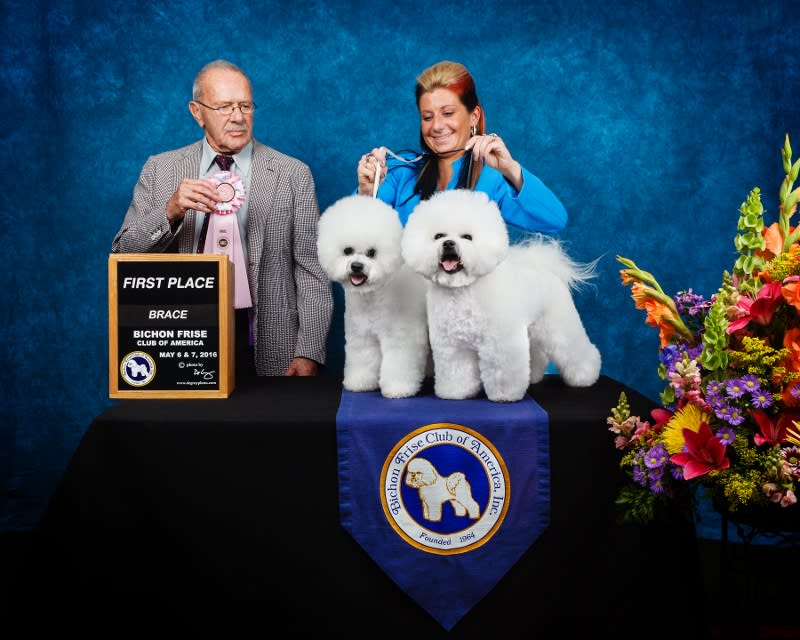 TONY AND ROBBIE IN BRACE....