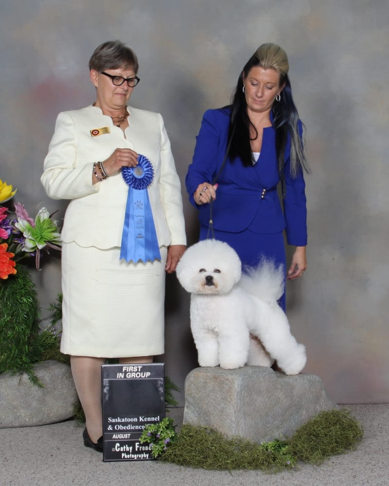 GREAT RESULTS IN SASKATOON !