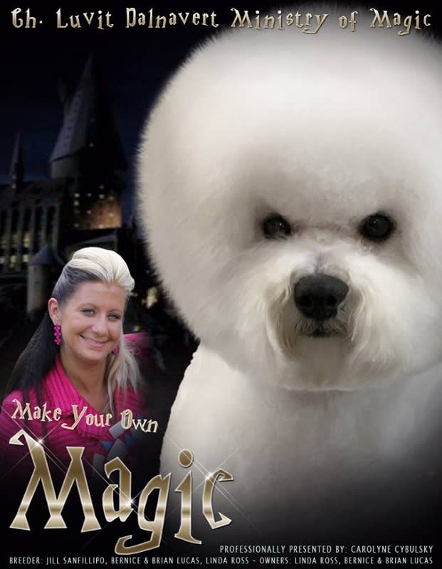 Can. CH. DALNAVERT LUVIT MINISTRY OF MAGIC