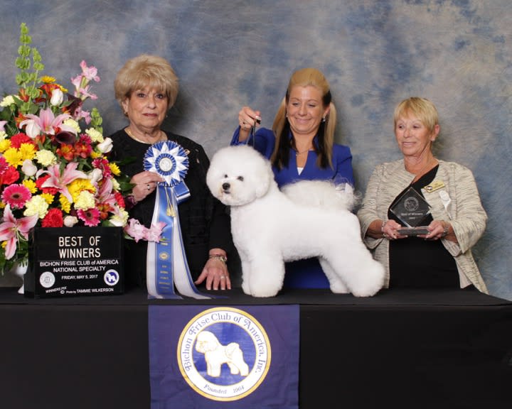 BFCA NATIONAL SPECIALTY 2017 ATLANTA, GA