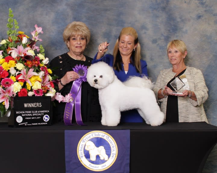 BFCA NATIONAL SPECIALTY 2017 ATLANTA GA 