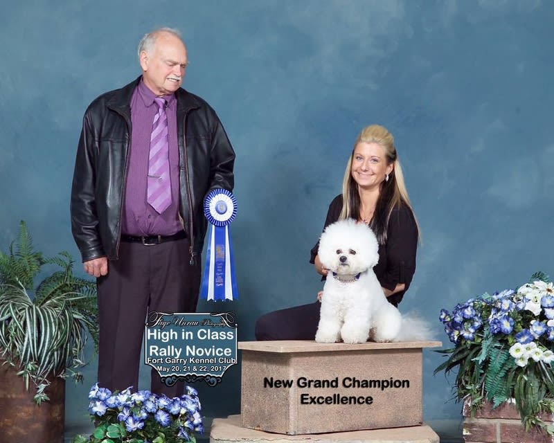 ROBBIE HAS HIS GRAND CHAMPION EXCELLENCE!