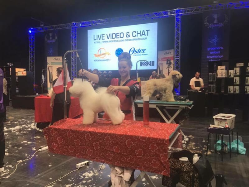 ROBBIE AT THE 2017 WORLD'S GROOMING COMPETITION