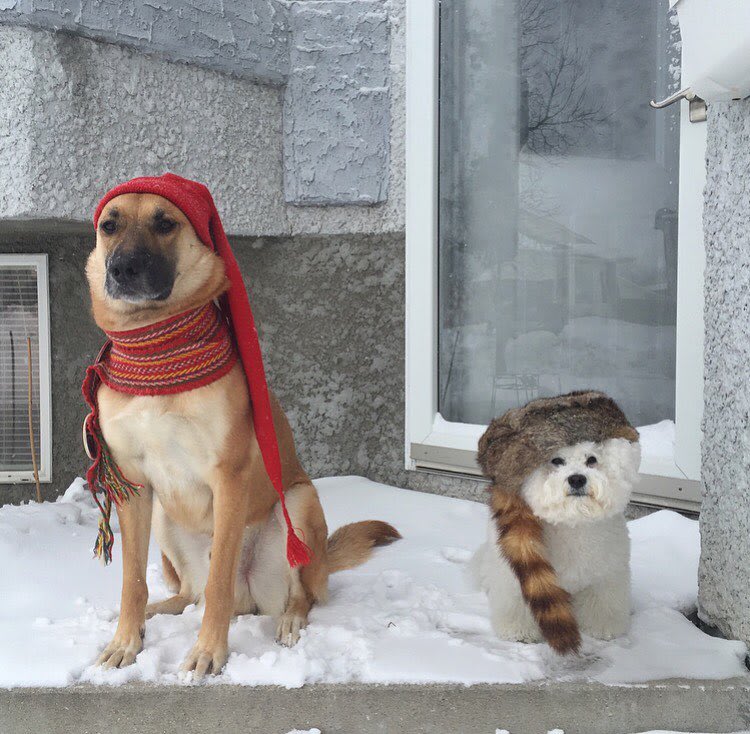 HE HO EVERYONE ..ENJOY FESTIVAL DE VOYAGEUR