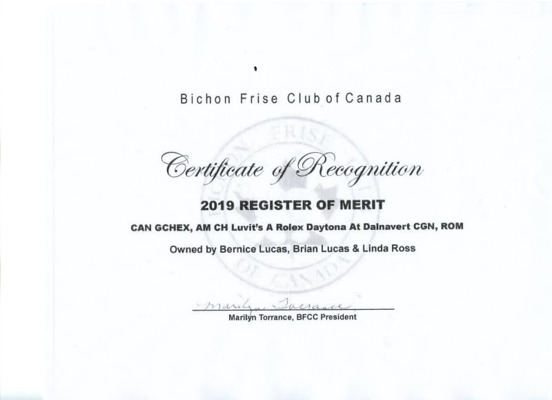 DALNAVERT & LUVIT KENNELS ARE BURSTING WITH PRIDE !