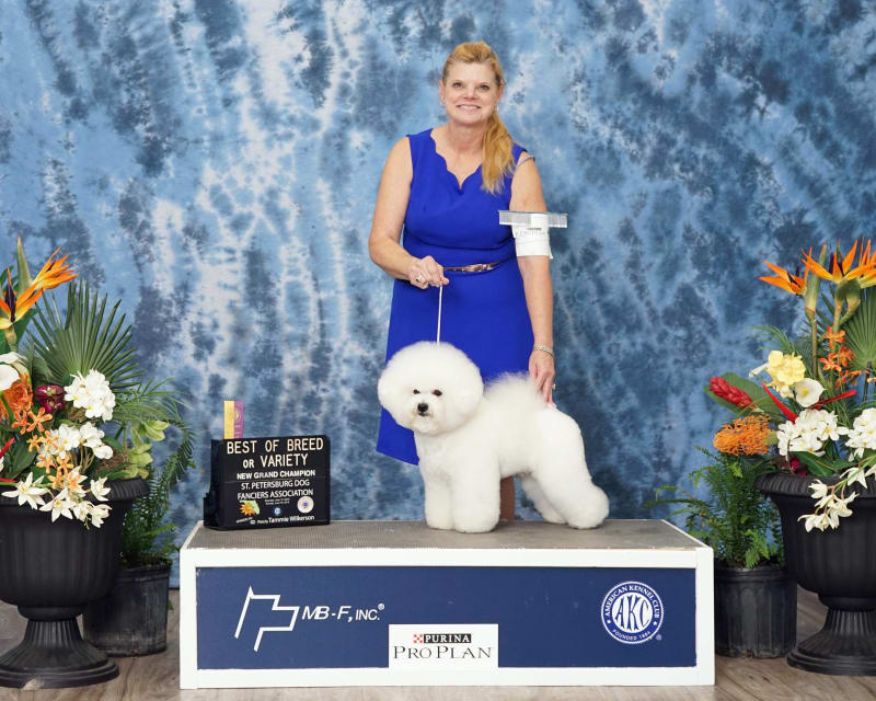 AM GR CH /CAN CH LUVIT DALNAVERT AWESOME ICE STORM