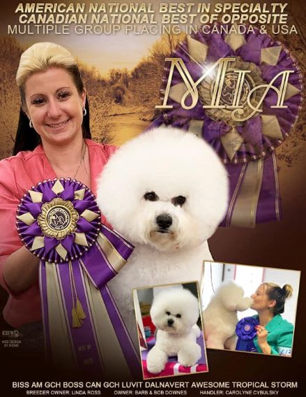 MIA AND CAROLYNE ARE OFF TO WESTMINSTER !