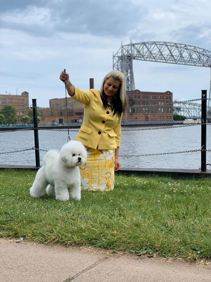 CANADA'S # 1 BICHON FRISE IS NEW YORK BOUND THIS WEEKEND !