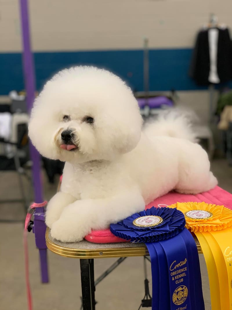 THIS WEEKEND IS BRANDON, MB FEATURING  "ICE"...