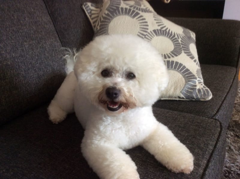 SKYE  what a lovely summer !