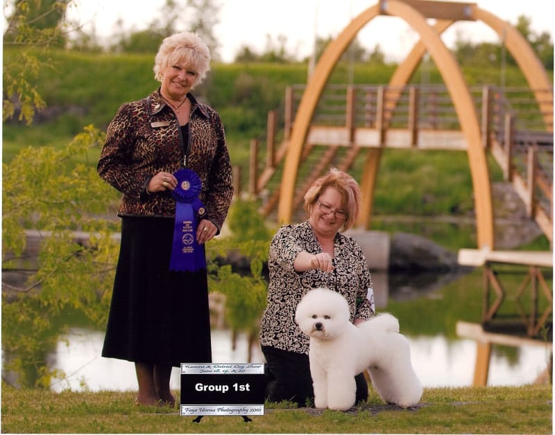 AM/CAN CH.RISGAE'S HERSHEY'S KISSES AT DALNAVERT-LUVIT  "HUGS"