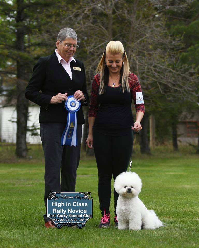 ROBBIE IS ALSO AN OBEDIENCE DOG !