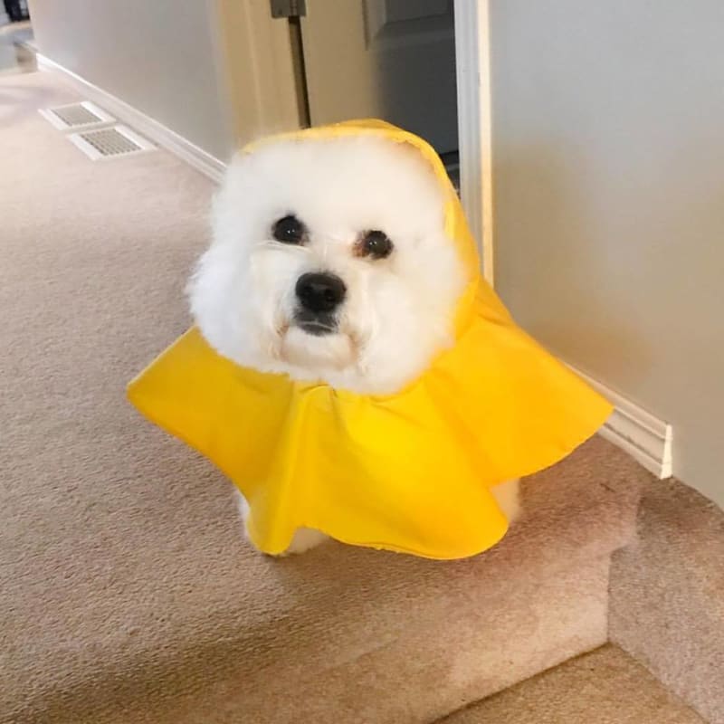 APRIL SHOWERS BRING MAY FLOWERS......