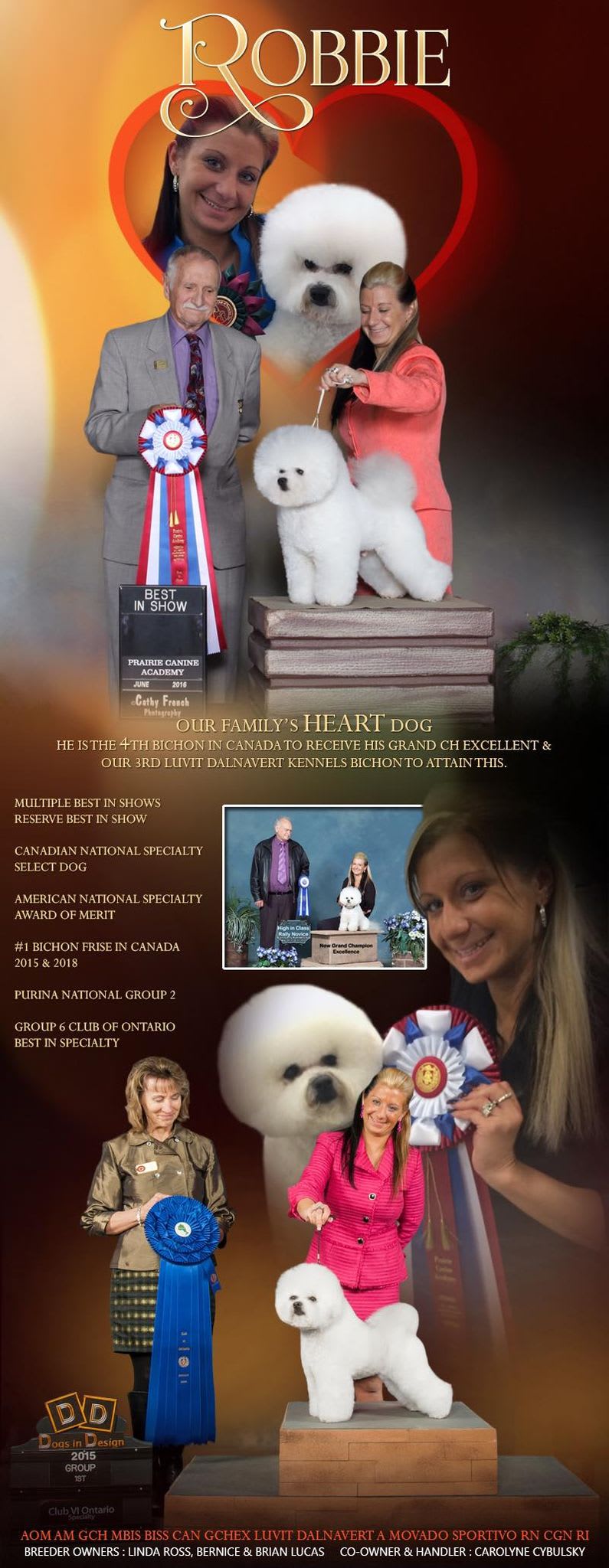 DALNAVERT AND LUVIT ACCOMPLISHMENTS- ROBBIE