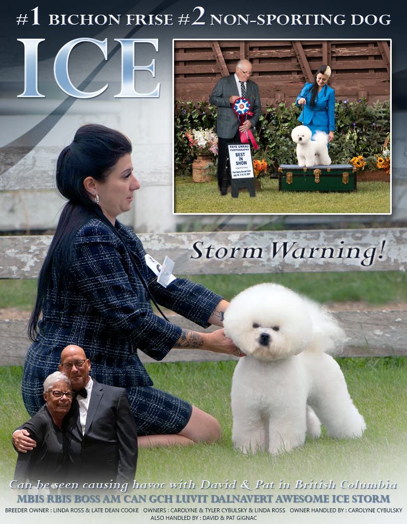 THERE IS AN " ICE STORM"  COMING TO THE WEST COAST...