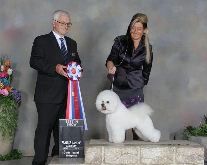 HAPPY 9TH BIRTHDAY ROBBIE !