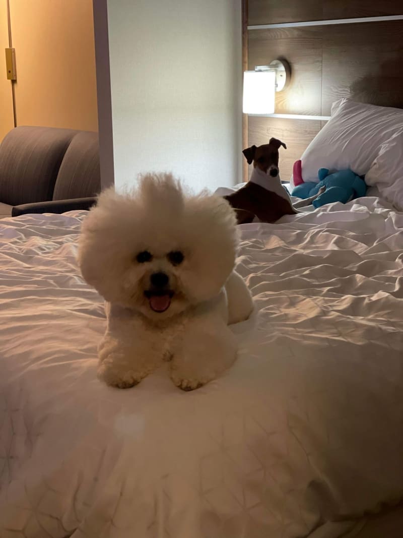 BOMBERS WIN THE GREY CUP.. WHAT A GAME !