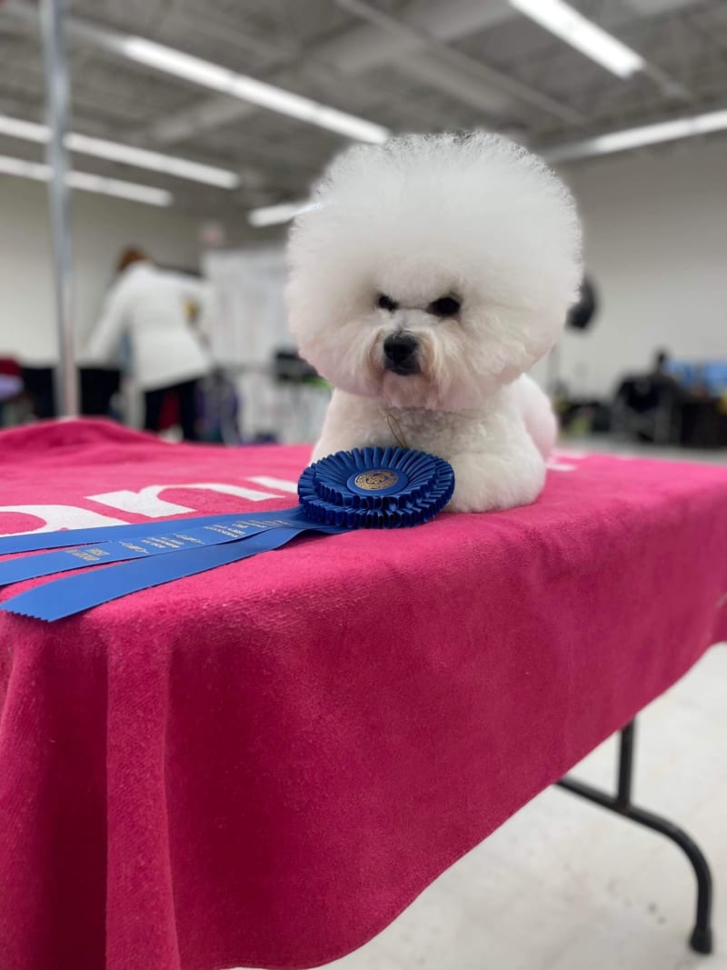 PRINCE ALBERT SEES ONE FINAL ICE STORM FOR THE YEAR.