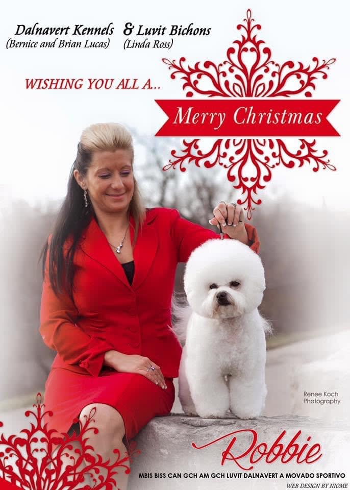 MERRY CHRISTMAS TO EVERYONE FROM DALNAVERT AND LUVIT BICHON FRISE !