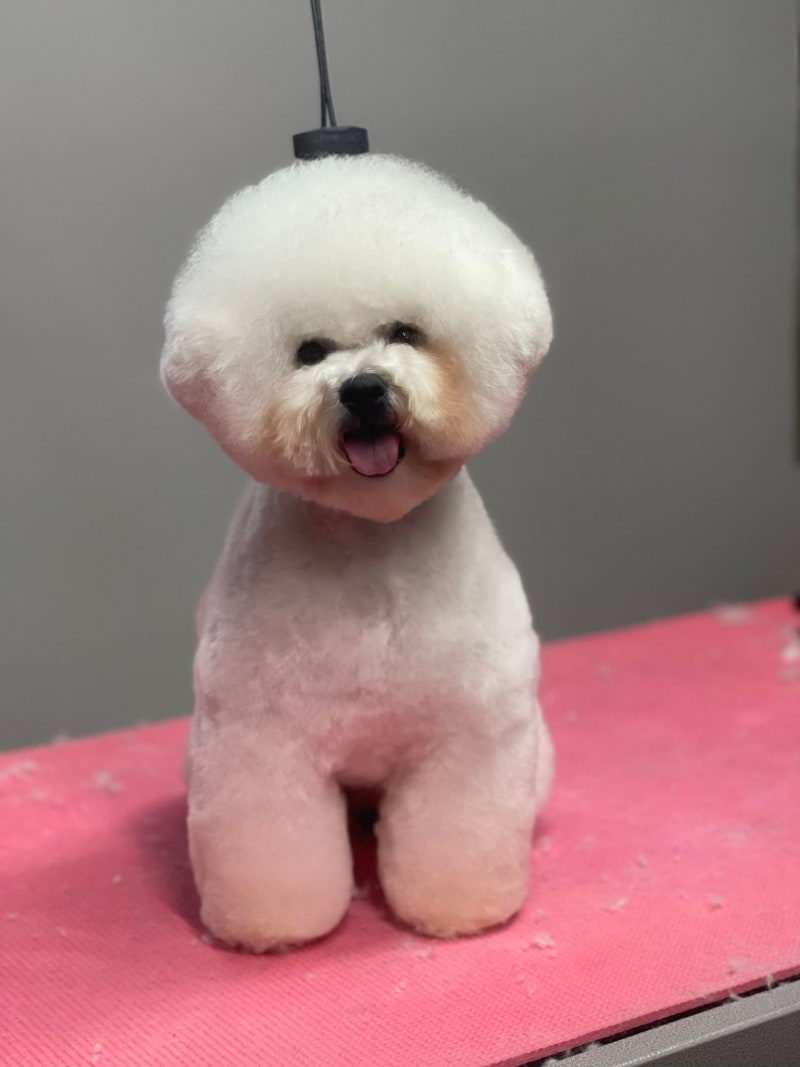 CONGRATULATIONS TO CRYSTAL!