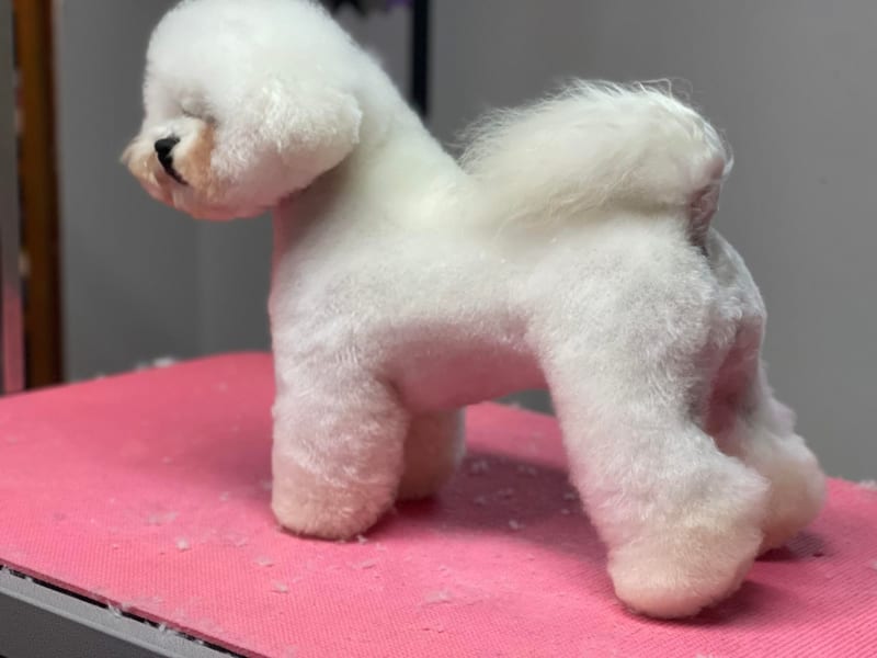 THE ICE STORM CONTINUES... WATCH FOR THE "ICE CRYSTAL"