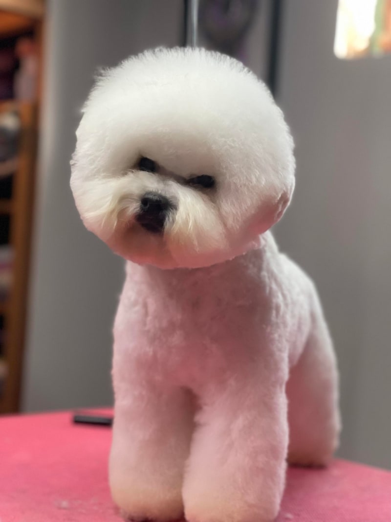 ANOTHER ICE BABY MAKING HER DEBUT IN CALGARY !