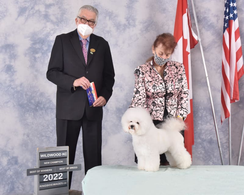 ICE DAUGHTER "FERGIE" NEW CHAMPION !