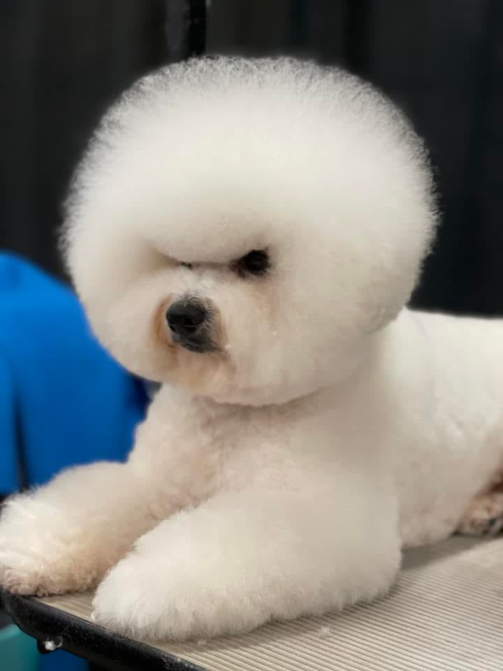 ICE TAKES GROUP 4 IN CALGARY