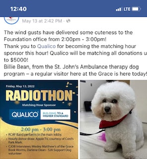 BICHONS AS CARE GIVERS ARE THE BEST!